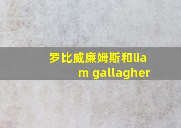 罗比威廉姆斯和liam gallagher